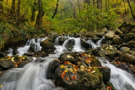 دانلود آهنگ بیا مره یاری بده پیمان سیف